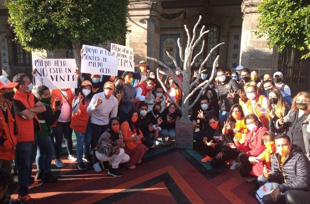 Un árbol seco cubierto con cemento fue llevado al Palacio del Ayuntamiento