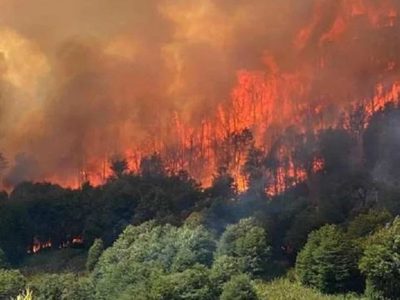 Ortíz Luna reconoció que los incendios en Valle Magdalena están “absolutamente descontrolados”