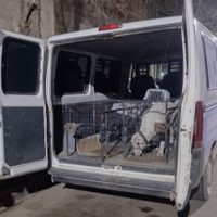 Bienestar animal intervino y se llevó al dogo que mordió a un adulto mayor en el barrio Villa María