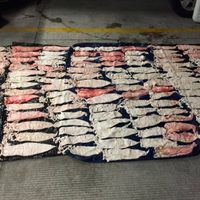 Detienen a una persona con 121 'buches” de totoaba