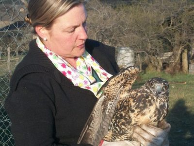 La Red de Rescate Fauna Silvestre busca colaboradores en Junín y San Martín de los Andes