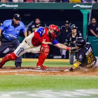 Bajo investigación, traspaso de peloteros del Águila de Veracruz a Leones de Yucatán