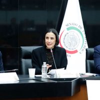 Sener afirma trabajar en el combate contra el huachicol y defiende modelo energético