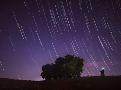 Horóscopo Chino: la doble lluvia de estrellas de septiembre traerá fortuna inesperada y un manto de paz a 4 signos del Zodiaco