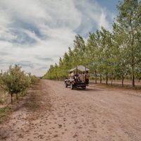 Una propuesta de paseo que combina naturaleza y gastronomía