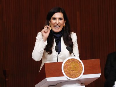 Discusión de la reforma electoral pondrá a prueba valores constitucionales, advierte López Rabadán