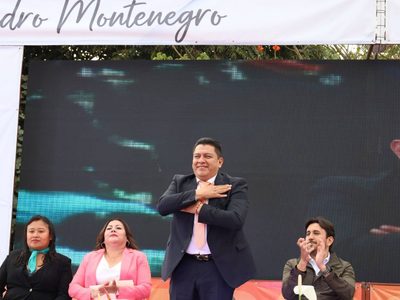 Investigan desaparición de perros comunitarios en Tlayacapan; llaman a población a aportar pruebas