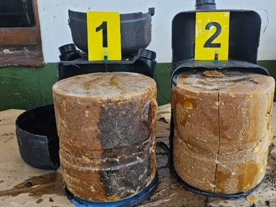 El increíble cargamento de droga que fue hallado por un perro en Salta