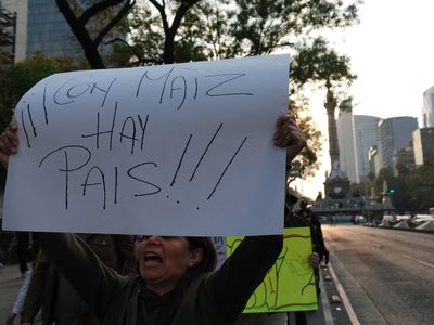 México deja sin efecto la regulación que impedía importación del maíz transgénico