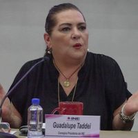 INE anulará elección si candidato ganador es deudor alimentario o cometió violencia de género