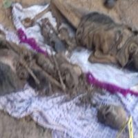 Sacan dos cuerpos de nueva narcofosa en Acapulco