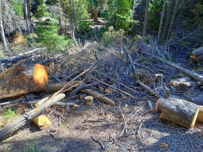 Denuncian un intento de ocupación ilegal de tierras fiscales en Villa Traful