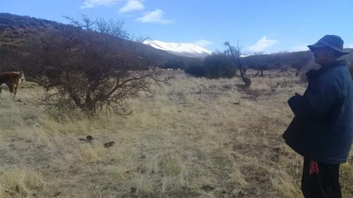 Robinson Valdez en sus tierras. Fuente (Cooperativa Campesina).