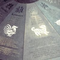Horóscopo chino: lo que hay que tener en cuenta para este jueves