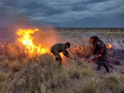 “Es el incendio más difícil”: Omar Gutiérrez habló sobre la situación en Aluminé
