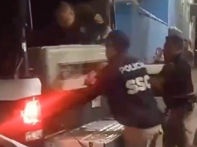 Rescatan a 17 perros que vivían en malas condiciones dentro de un domicilio en Iztacalco