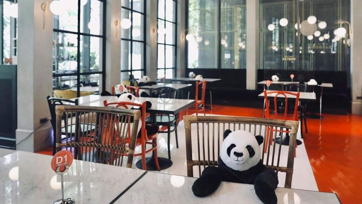 Restaurante usa pandas de peluche para distanciamiento. Fuente. (Twitter)