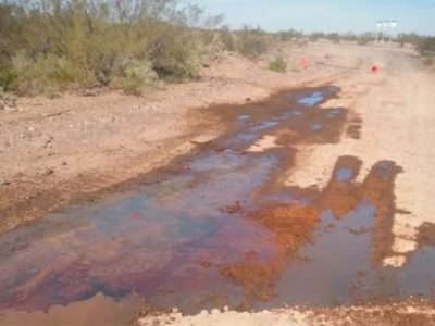 La Confederación Mapuche denunció a YPF por un derrame de crudo en Añelo