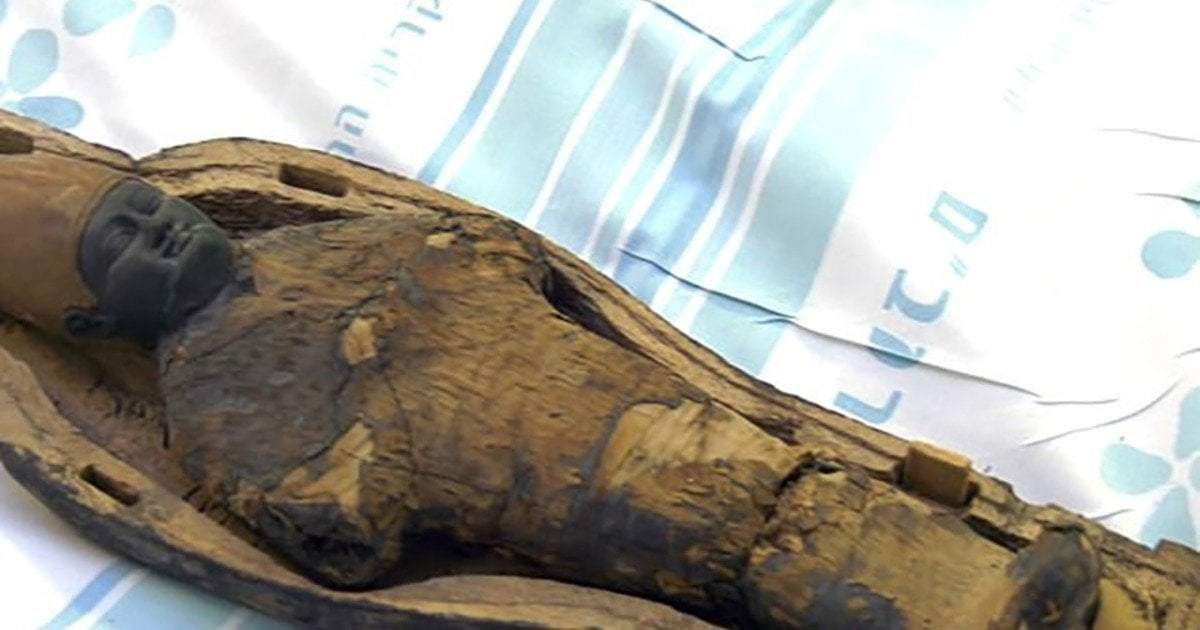 Lo que encontraron sorprendió a los investigadores. Fuente: (Twitter)