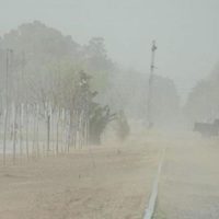 Alerta meteorológica por vientos fuertes en Neuquén y Río Negro
