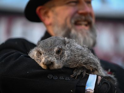 Día de la Marmota: Phil predice 6 semanas más de clima invernal en EU
