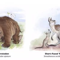 Megafauna extinta era propensa a los “juegos del hambre”