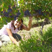 La enóloga que trabaja en viñedos australes
