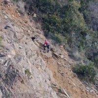 Bomberos Voluntarios recibieron agresiones en medio de un operativo para rescatar a un perro