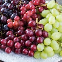 Desarrollan uva de mesa sin semilla, las preferidas de los consumidores
