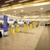 Paro de pilotos de Aerolíneas: más de 7.000 pasajeros y 60 vuelos afectados