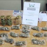 Gendarmería descubrió un envío con casi un kilo y medio de marihuana en Senillosa