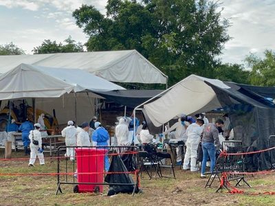 Buscadoras exigen a CDHEM pronunciarse sobre omisiones en exhumaciones en Jojutla