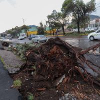 Se prevén torbellinos este jueves en 12 entidades; lluvias fuertes azotarán a los siguientes estados