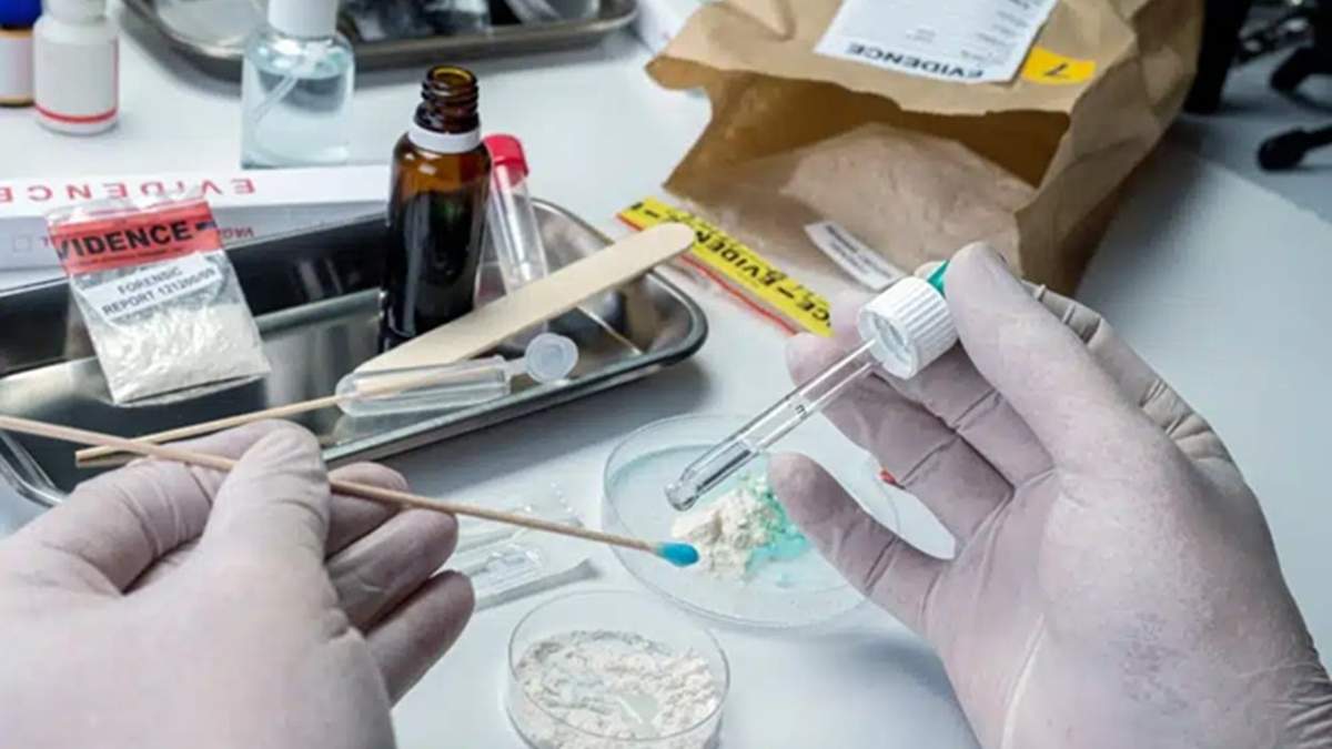 Medetomidina: la droga de uso veterinario que genera una nueva crisis en EEUU