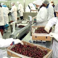 Contra la crisis, los Bancos aumentaron la entrega de créditos para rescatar a las pymes