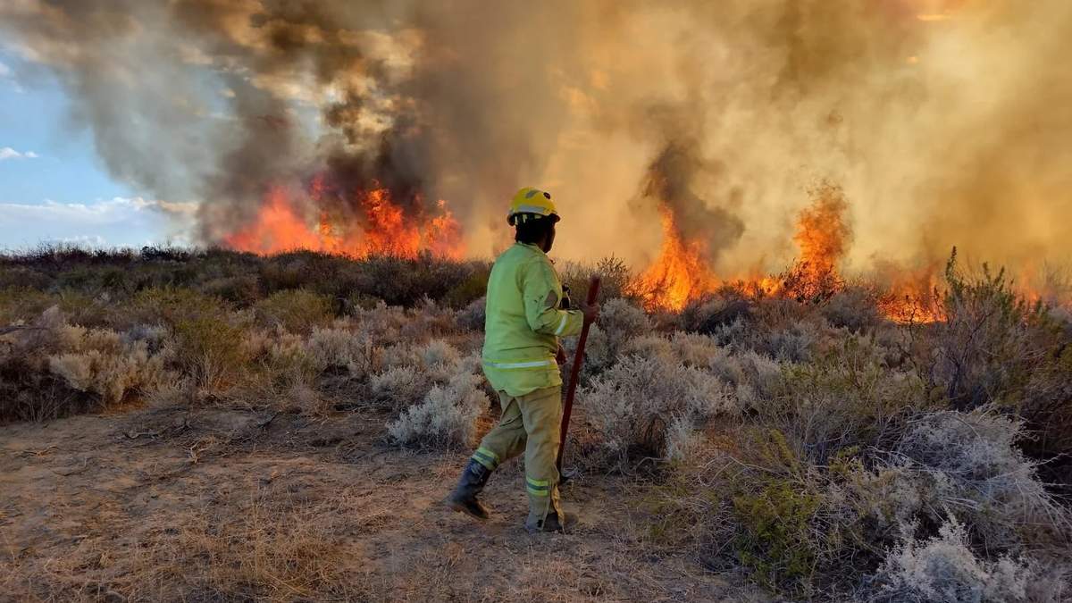 Un bombero durante el combate contra los incendios. Fuente: (Twitter)