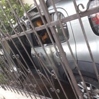 Artículo 19 exige mecanismos de protección para el periodista sonorense Alejandro Matty