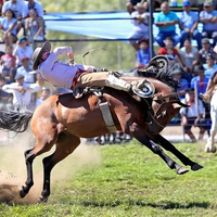 Todo listo en Picún Leufú: fechas y actividades de la XXXI Fiesta del Chacarero y del Hombre de Campo