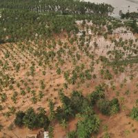 El FMI advierte que los inversionistas subestiman los riesgos por el cambio climático