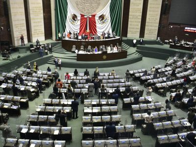 Asesores de la Cámara de Diputados denuncian despidos anticipados