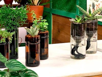 No tires las botellas plásticas y usalas para fabricar un autorriego para tus plantas