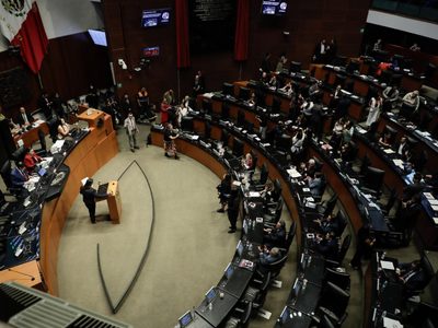 Por unanimidad, senadores aprueban que funcionarios de Pemex, CFE, Banxico y SAT porten armas