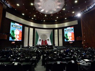 Diputados reciben ultimátum para rehacer "Ley Chayote"