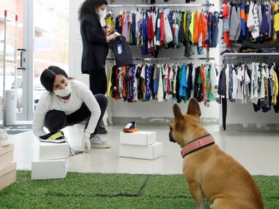 Neuquén Capital, ciudad pionera en los derechos de los animales no humanos