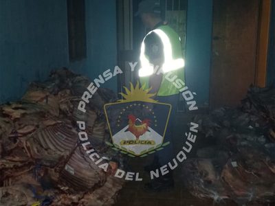 Decomisaron un millonario transporte de carne de contrabando en rutas de Neuquén