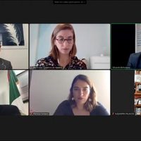 Cofece y ONG buscan inhabilitar a empresas que se coludan para venderle al gobierno