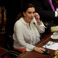 Reapareció Michetti y le pegó al Gobierno por las sesiones virtuales