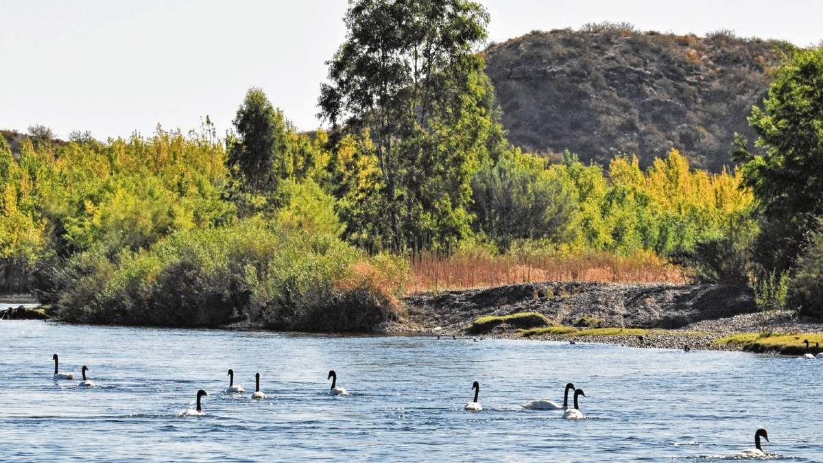 Neuquén. Fuente: (Instagram)