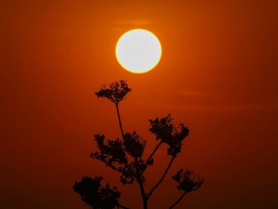 ¿Qué es el "domo de calor" y por qué causa temperaturas sofocantes en México?