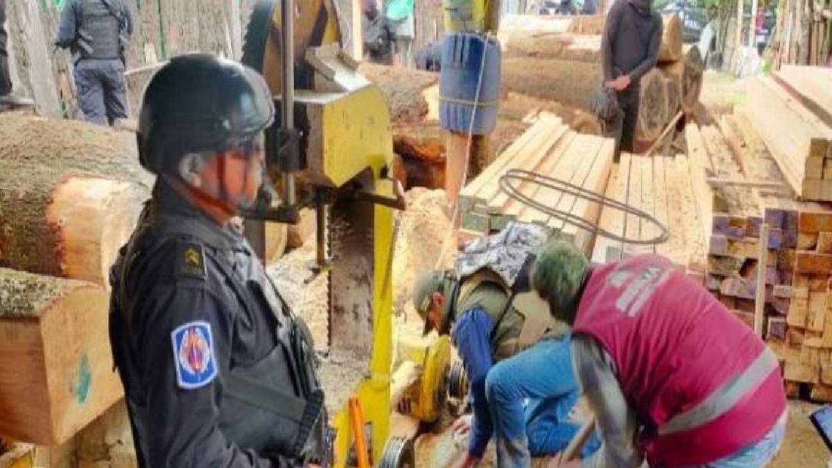 Uno de los aserraderos clausurados en la alcaldía Tlalpan